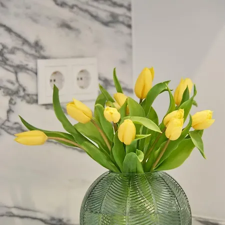 Rosario In Graca Lägenhet Lisboa